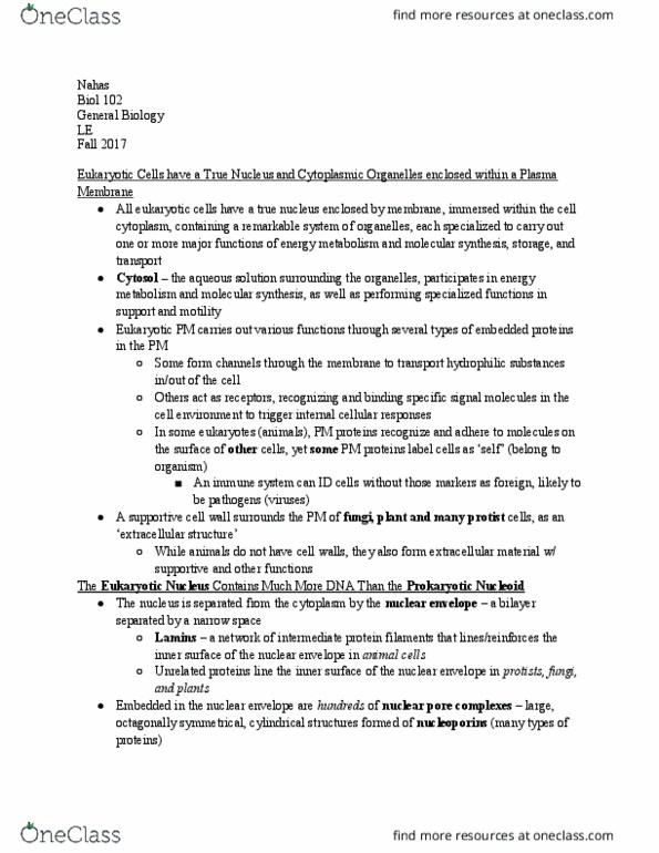 BIOL 102 Lecture Notes - Lecture 26: Nuclear Membrane, Chromosome, Hydrophile thumbnail