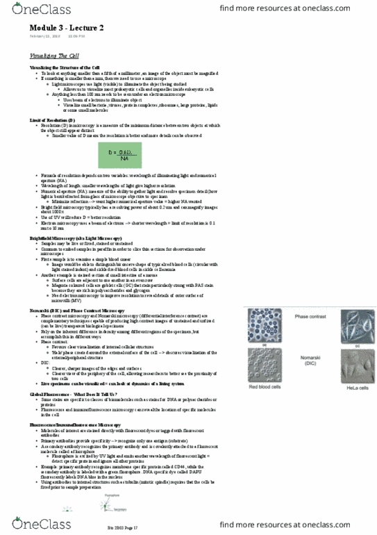 BIOLOGY 2B03 Lecture Notes - Lecture 3: Spindle Apparatus, Fusion Gene, Sickle-Cell Disease thumbnail