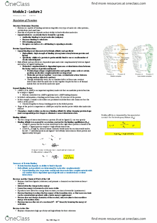 BIOLOGY 2B03 Lecture Notes - Lecture 2: Chymotrypsinogen, Metabolic Pathway, Decoy thumbnail