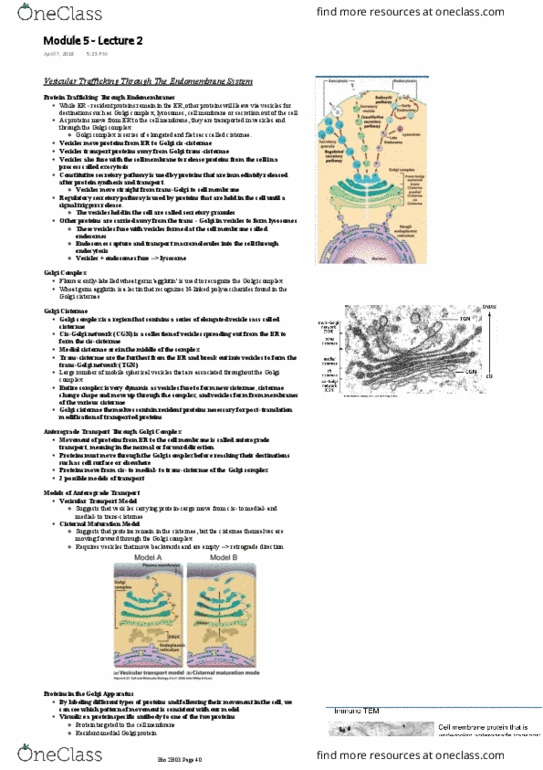 BIOLOGY 2B03 Lecture Notes - Lecture 5: Dynamin, Lysosome, Secretion thumbnail