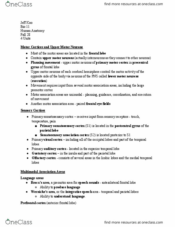 BIO 11 Lecture Notes - Lecture 13: Frontal Eye Fields, Postcentral Gyrus, Premotor Cortex thumbnail