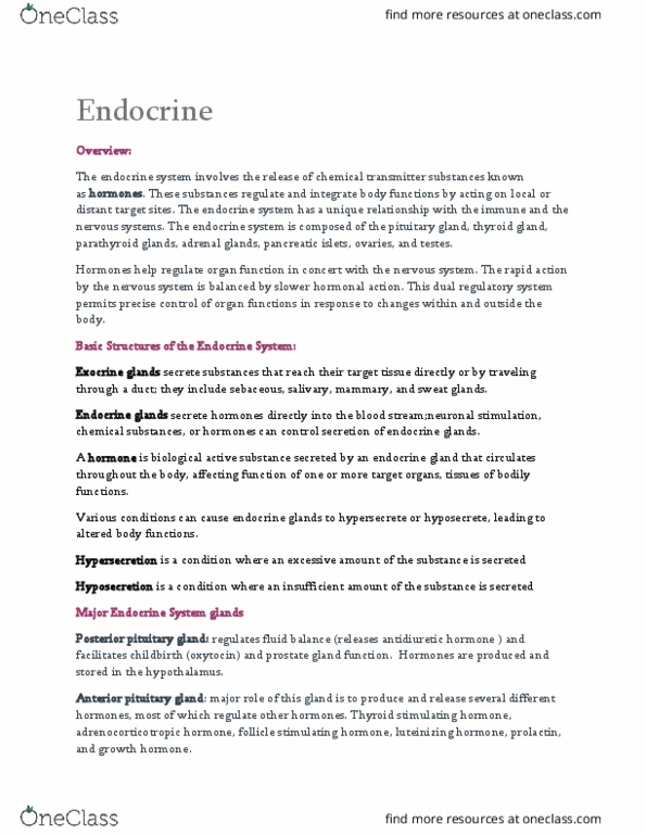 NUR 209 Lecture Notes - Lecture 32: Pancreatic Islets, Catecholamine, Thyroid Hormones thumbnail