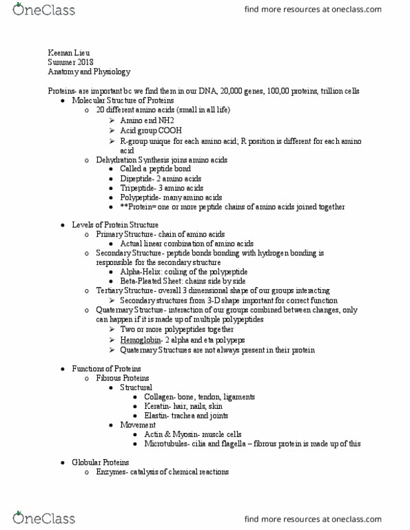 AMY-2A Lecture Notes - Lecture 22: Scleroprotein, Starch, Peptide thumbnail