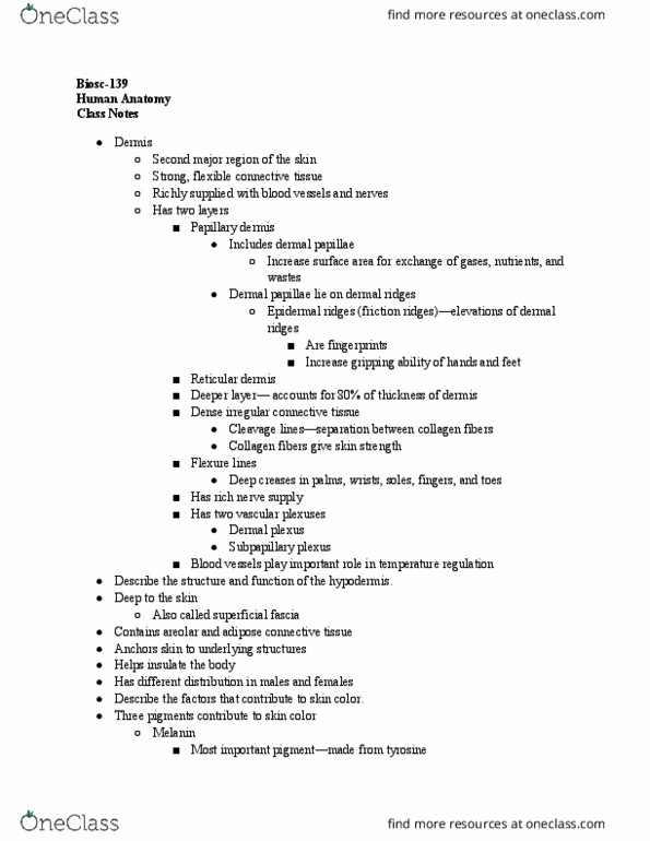 BIOSC-139 Lecture Notes - Lecture 7: Loose Connective Tissue, Melanin, Subcutaneous Tissue thumbnail