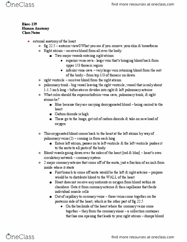 BIOSC-139 Lecture Notes - Lecture 15: Superior Vena Cava, Coronary Circulation, Pulmonary Vein thumbnail