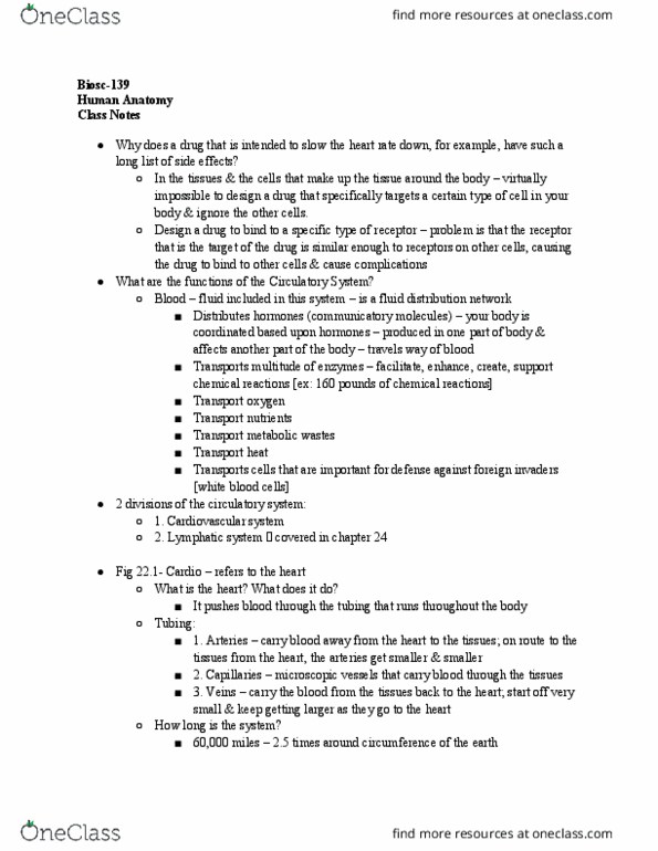 BIOSC-139 Lecture Notes - Lecture 13: Lymphatic System, Circulatory System, Capillary thumbnail