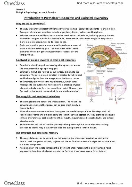 MARKET 1 Lecture Notes - Lecture 12: Autonomic Nervous System, Tryptophan, Lobotomy thumbnail