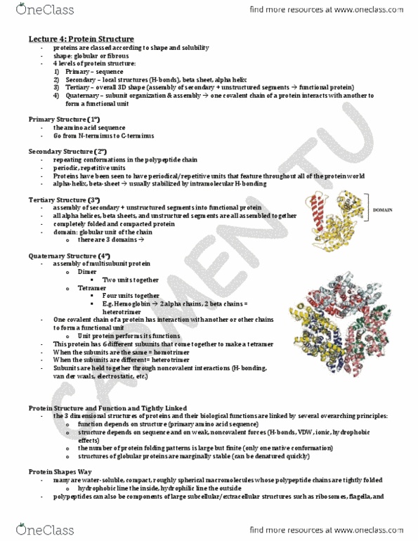 BCH210H1 Lecture Notes - Lecture 4: Amide, National Model Railroad Association, Peptide Bond thumbnail