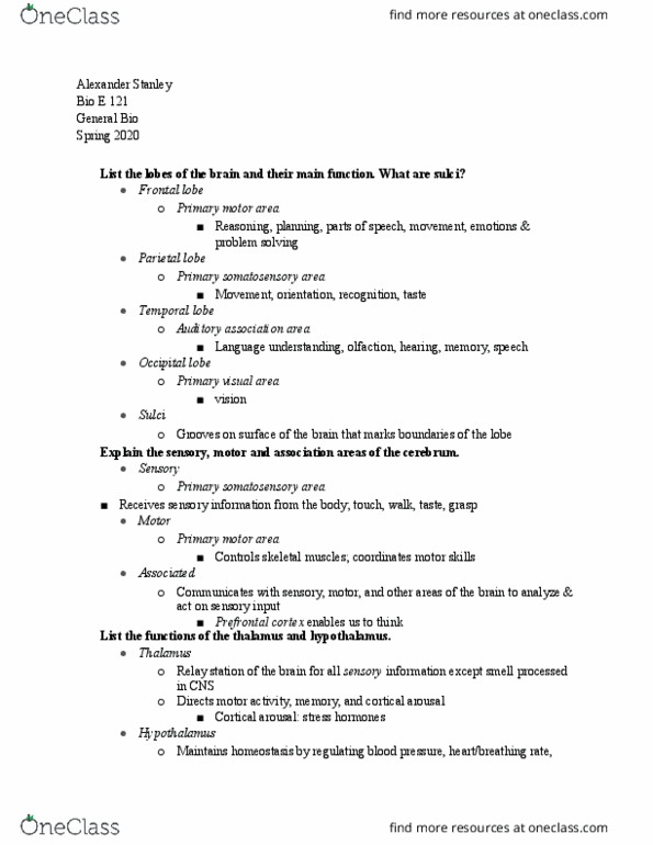 BIO E121 Lecture Notes - Lecture 32: Occipital Lobe, Parietal Lobe, Frontal Lobe thumbnail