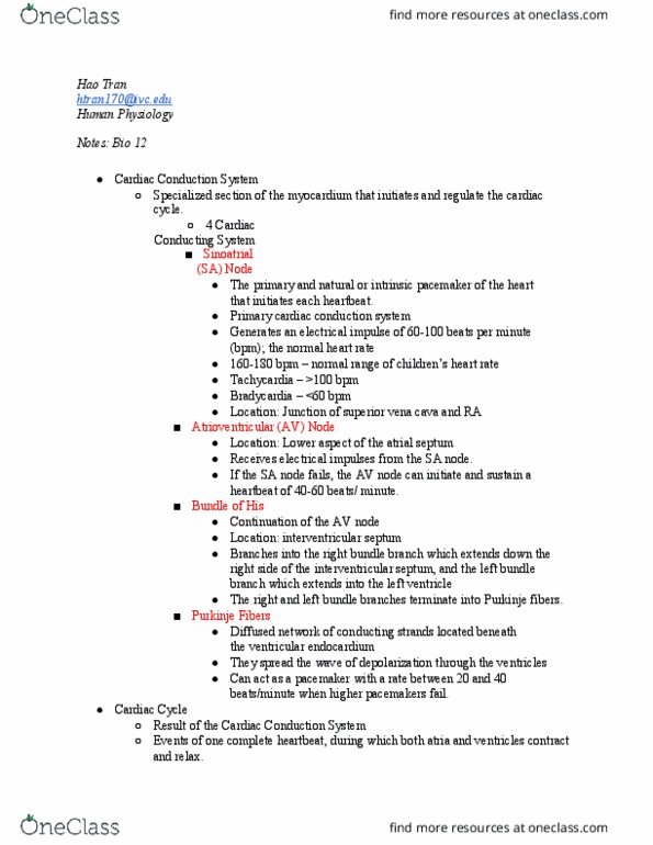 BIO 12 Lecture Notes - Lecture 18: Electrical Conduction System Of The Heart, Interventricular Septum, Superior Vena Cava thumbnail