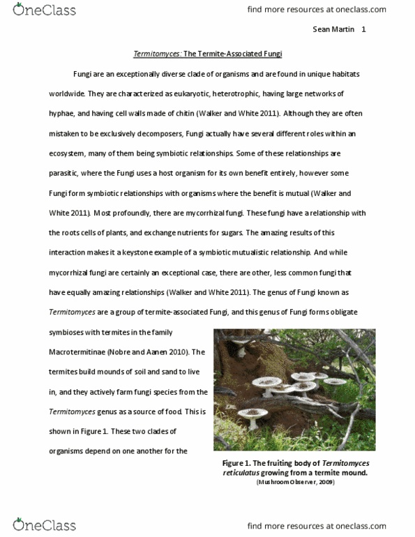 Biology 3218F/G Chapter Notes - Chapter Essay : Termitomyces, Mushroom Observer, Termite thumbnail