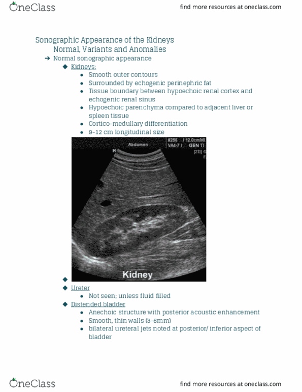 RIU 330 Lecture Notes - Lecture 34: Lipomatosis, Hydronephrosis, Agenesis thumbnail