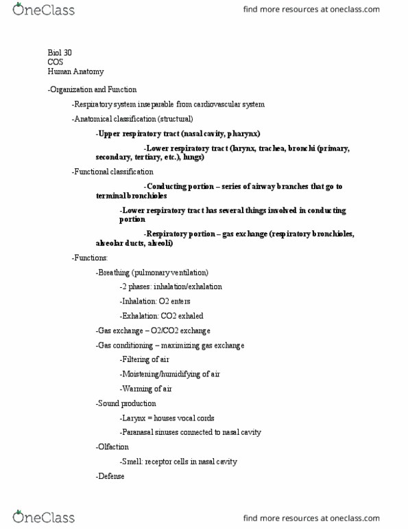 BIOL 030 Lecture Notes - Lecture 24: Exhalation, Respiratory System, Cricoid Cartilage thumbnail