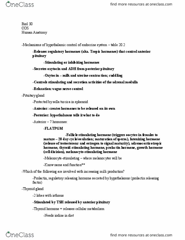 BIOL 030 Lecture Notes - Lecture 22: Aldosterone, Endocrine System, Adrenal Gland thumbnail