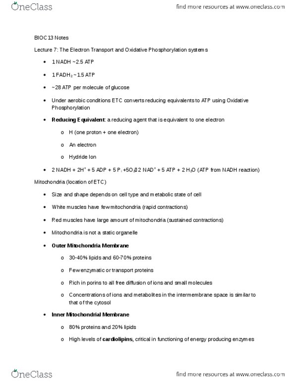 BIOC13H3 Lecture Notes - Malate Dehydrogenase, Nadh Dehydrogenase, Oxidative Phosphorylation thumbnail