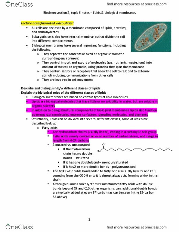 Biochemistry 2280A Lecture Notes - Lecture 6: Biological Membrane, Monounsaturated Fat, Organelle thumbnail