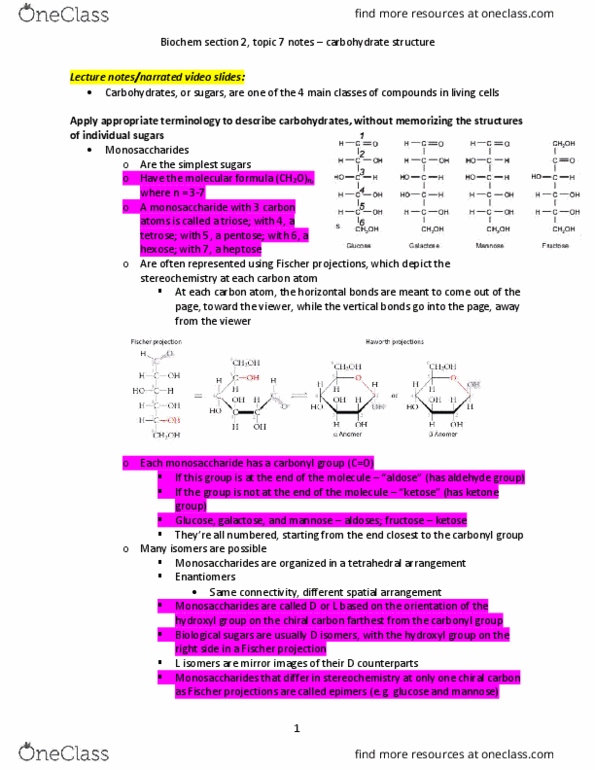 Biochemistry 2280A Lecture Notes - Lecture 7: Fischer Projection, Heptose, Mannose thumbnail