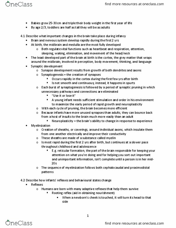 Health Sciences 2700A/B Chapter Notes - Chapter 4: Synaptic Pruning, Synaptogenesis, Neuroplasticity thumbnail