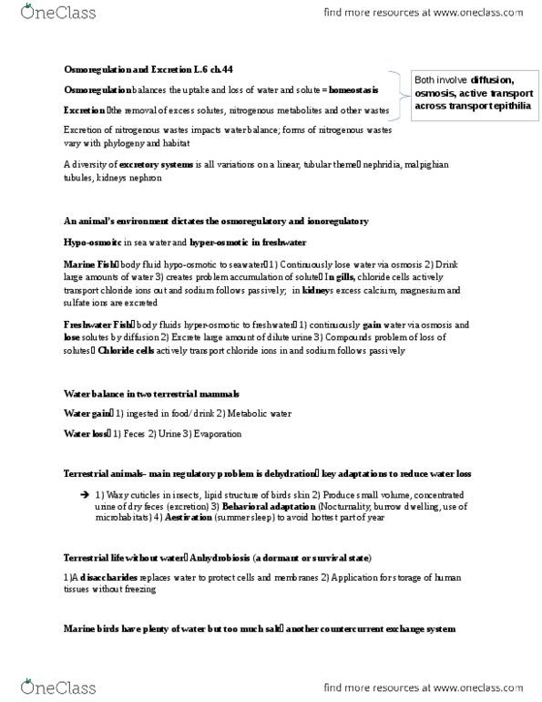 BISC 101 Chapter Notes -Malpighian Tubule System, Osmoregulation, Nephridium thumbnail