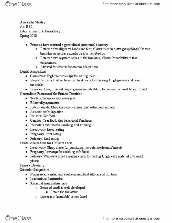 ANT E101 Lecture Notes - Lecture 14: Frugivore, Lemur, Lorisoidea thumbnail