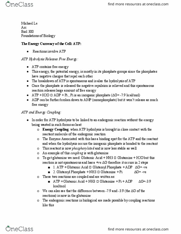 BIOL 300 Lecture Notes - Lecture 14: Atp Hydrolysis, Endergonic Reaction, Glutamic Acid thumbnail