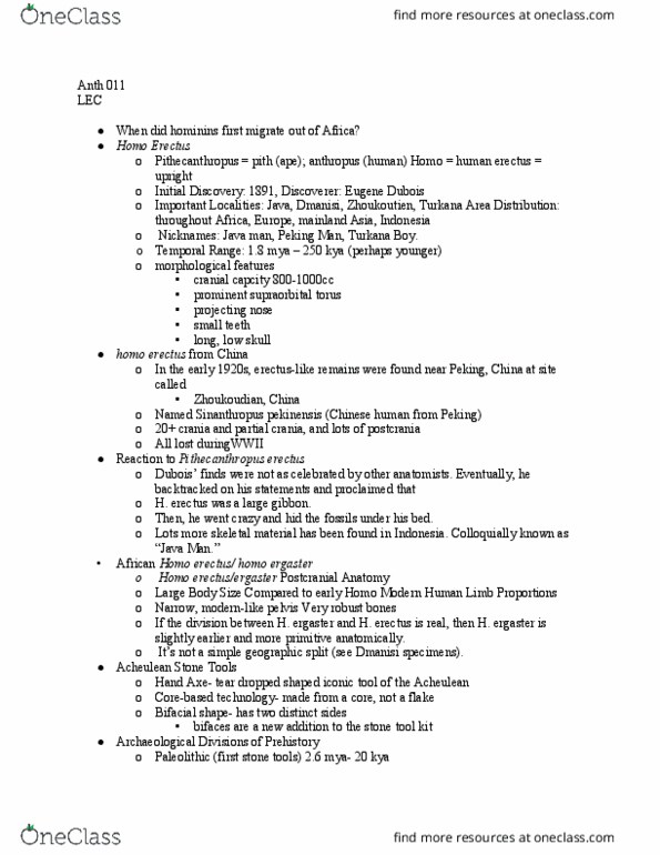 ANTH 011 Lecture Notes - Lecture 23: Peking Man, Homo Ergaster, Homo Erectus thumbnail