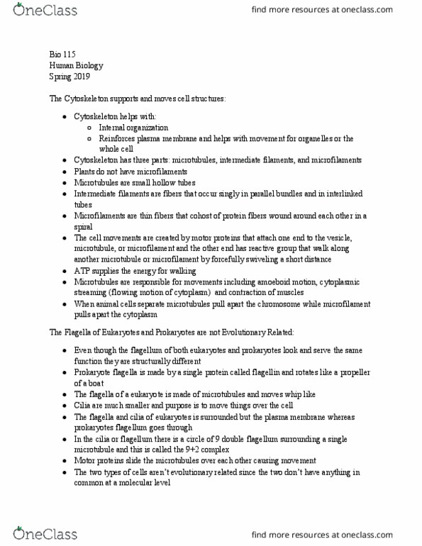 BIOL 115 Chapter Notes - Chapter 1: Intermediate Filament, Cytoplasmic Streaming, Microfilament thumbnail