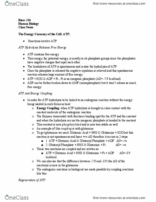 BIOSC-116 Lecture Notes - Lecture 23: Atp Hydrolysis, Glutamic Acid, Glutamine thumbnail