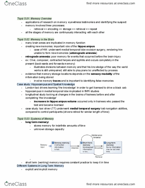 PSY 1 Lecture Notes - Lecture 5: Temporal Lobe, Anterograde Amnesia, Retrograde Amnesia thumbnail