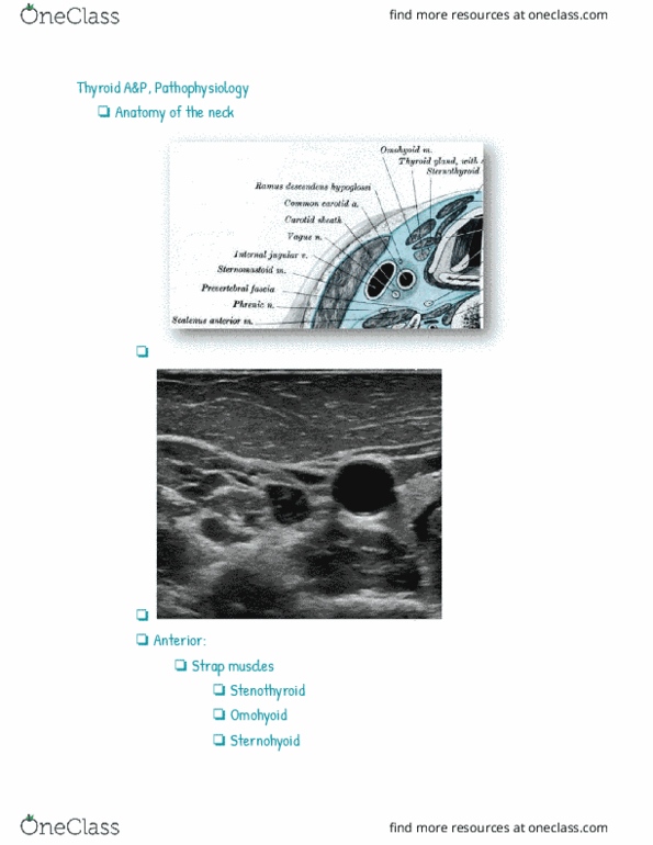 RIU 330 Lecture Notes - Lecture 59: Internal Jugular Vein, Subclavian Artery, Jugular Vein thumbnail