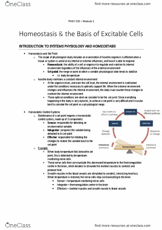 PHGY 214 Lecture Notes - Lecture 1: Skeletal Muscle, Thermoregulation, Homeostasis thumbnail