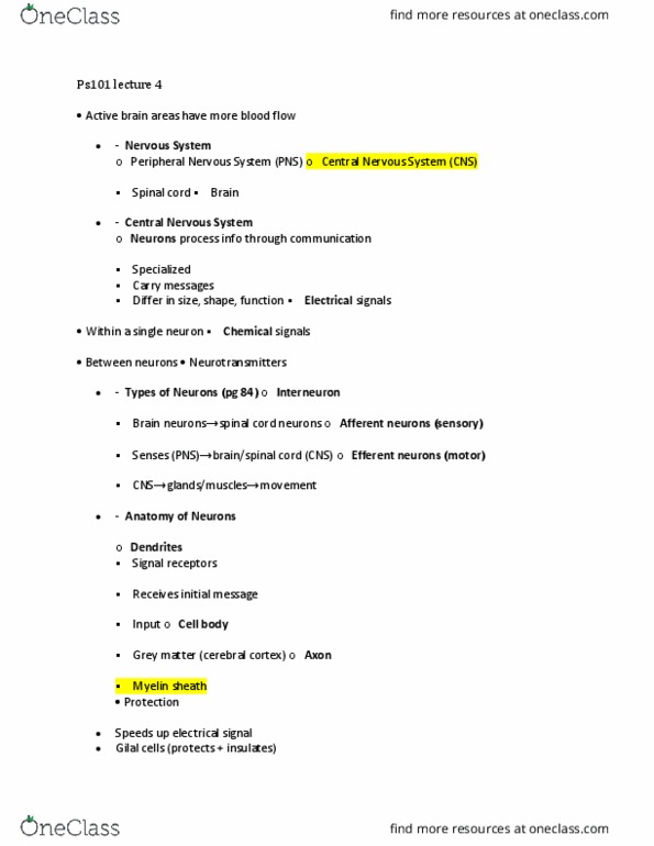 PS101 Lecture Notes - Lecture 4: Central Nervous System, Myelin, Spinal Cord thumbnail