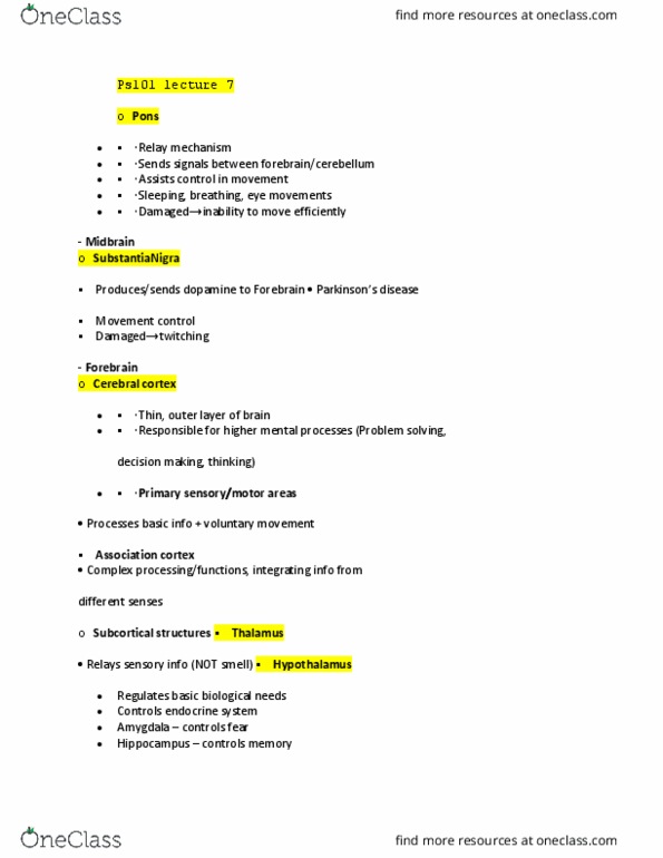 PS101 Lecture Notes - Lecture 7: Cerebral Cortex, Endocrine System, Midbrain thumbnail