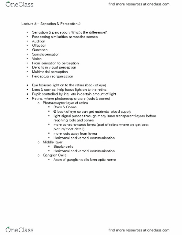 PS267 Lecture Notes - Lecture 8: Optic Nerve, Olfaction, Ganglion thumbnail