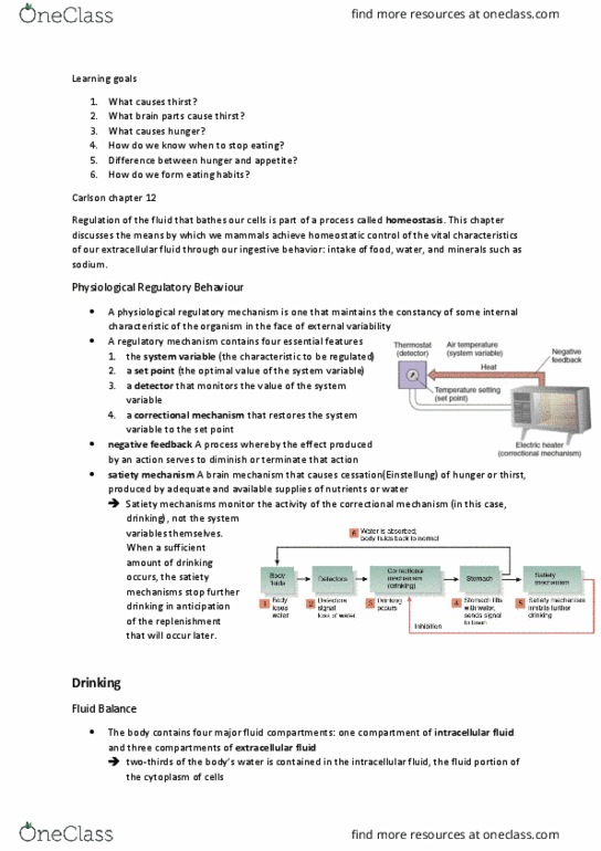 CO SCI 136 Lecture Notes - Lecture 10: Brainstem, Mechanoreceptor, Orexin thumbnail