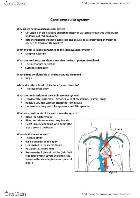 PHYSICS 102 Lecture Notes - Lecture 7: Pulmonary Pleurae, Pleural Cavity, Thoracic Cavity thumbnail