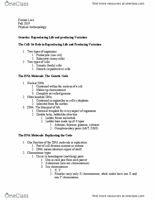 ANT-1 Lecture Notes - Lecture 18: Dna Replication, Y Chromosome, Nuclear Dna thumbnail