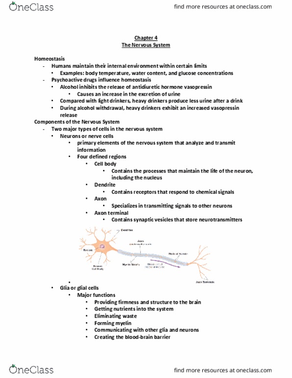 PSYC 2380 Chapter Notes - Chapter 4: Axon Terminal, Vasopressin, Neuroglia thumbnail