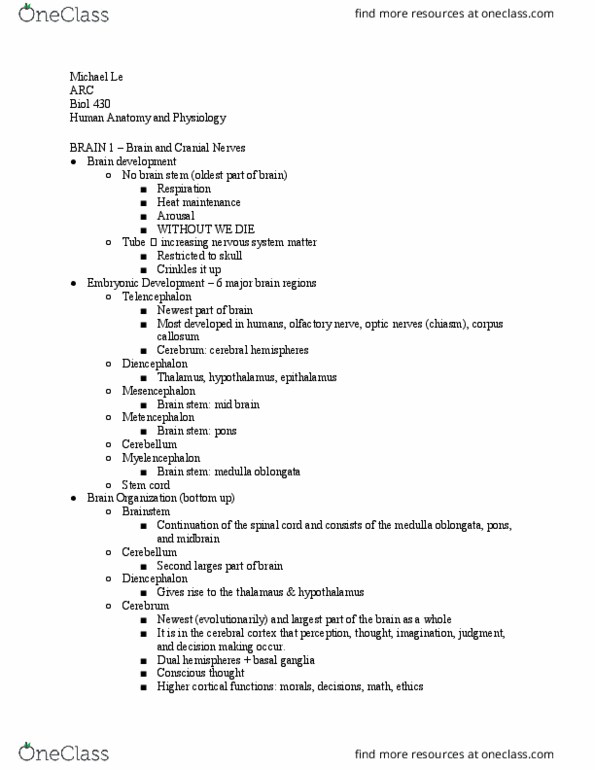 BIOL 430 Lecture Notes - Lecture 32: Medulla Oblongata, Basal Ganglia, Olfactory Nerve thumbnail