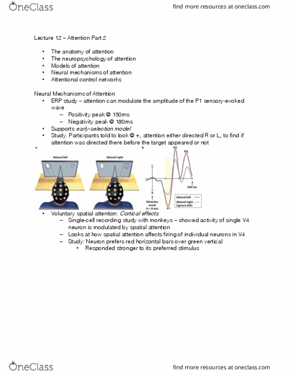 PS267 Lecture Notes - Lecture 12: Attentional Control, Sensory Cortex, Receptive Field thumbnail