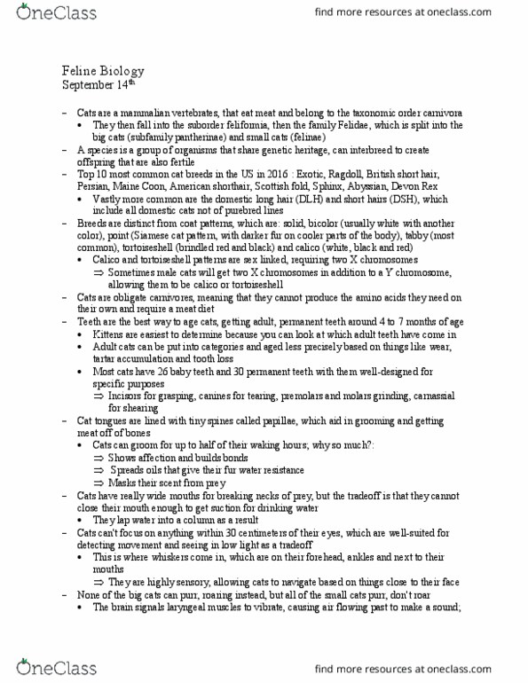 PBIO 004 Lecture Notes - Lecture 6: Devon Rex, American Shorthair, Felinae thumbnail