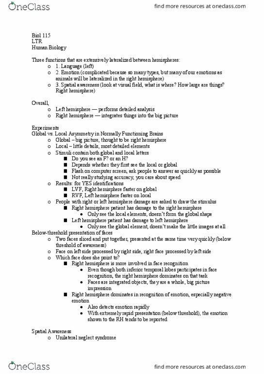 BIOL 115 Lecture Notes - Lecture 11: Frontal Lobe, Hemispatial Neglect, Parietal Lobe thumbnail