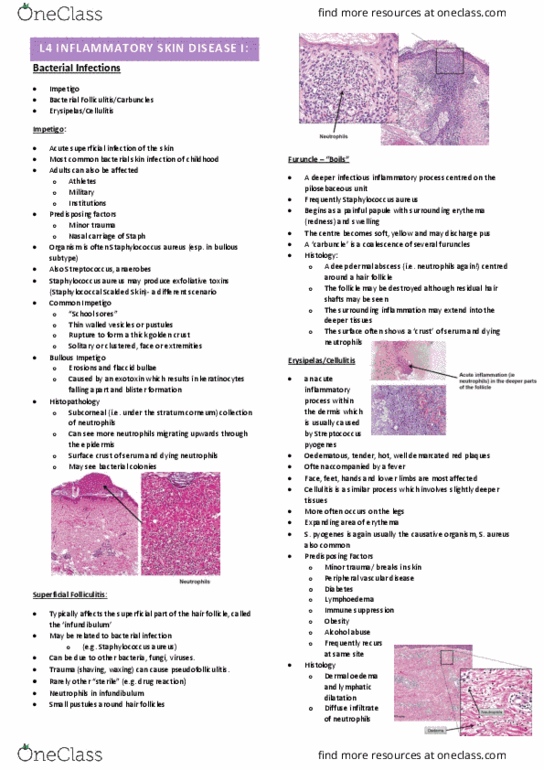 IMED3004 Lecture Notes - Lecture 4: Peripheral Artery Disease, Histology, Edema thumbnail