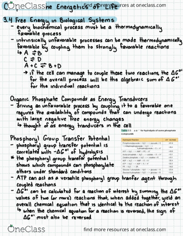 BIOCHEM 420 Chapter Notes - Chapter 8: Chemical Equation, Hydrolysis, Beck thumbnail