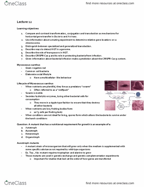 BIOL 2303 Lecture Notes - Lecture 12: Streptococcus, Threonine, Plasmid thumbnail