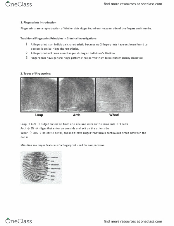 ANTH 246 Lecture Notes - Lecture 5: Finger Ridges, Minutiae, Blood Residue thumbnail