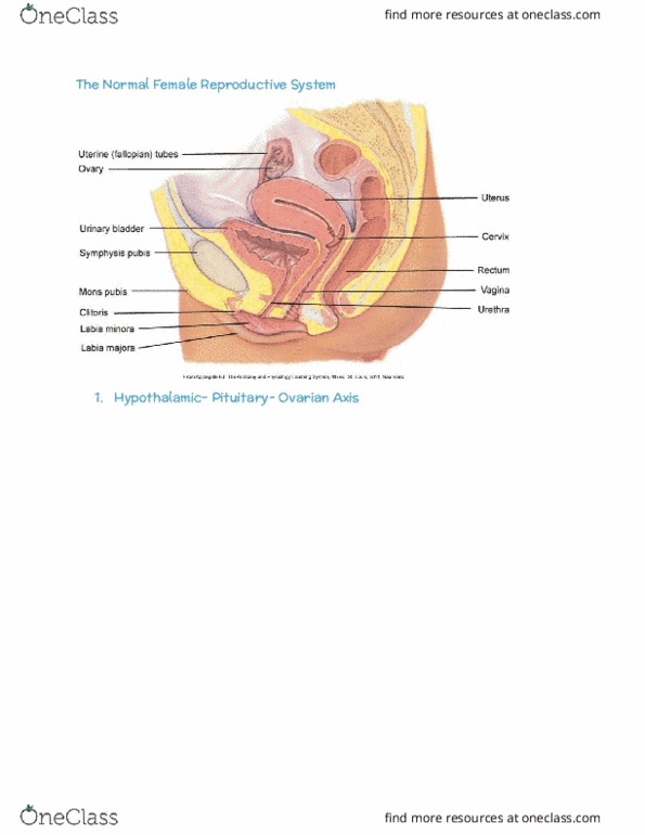 RIU 330 Lecture Notes - Lecture 68: Serous Fluid, Placenta Accreta, Pap Test thumbnail