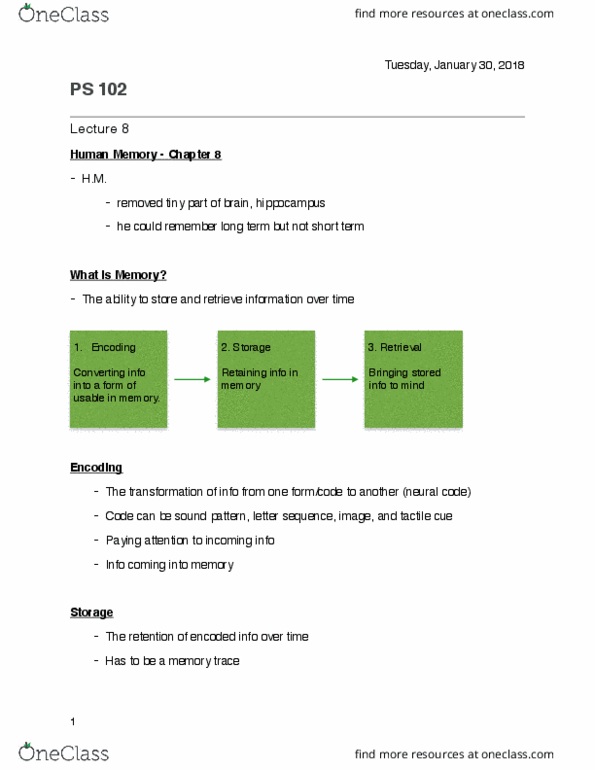 PS102 Lecture Notes - Lecture 8: Short-Term Memory, Long-Term Memory, Asteroid Family thumbnail