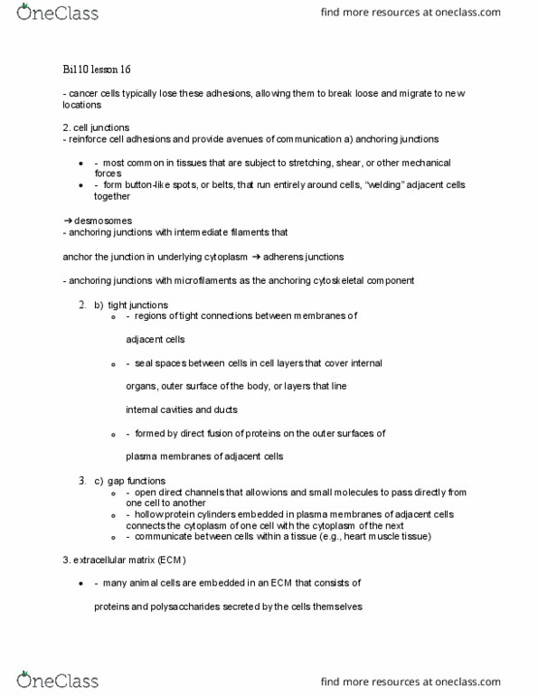 BI110 Lecture Notes - Lecture 16: Adherens Junction, Tight Junction, Intermediate Filament thumbnail