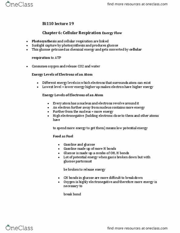 BI110 Lecture Notes - Lecture 19: Cellular Respiration, Electronegativity thumbnail